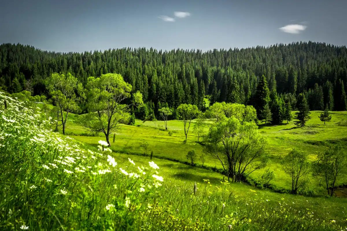 Montañas Ródope